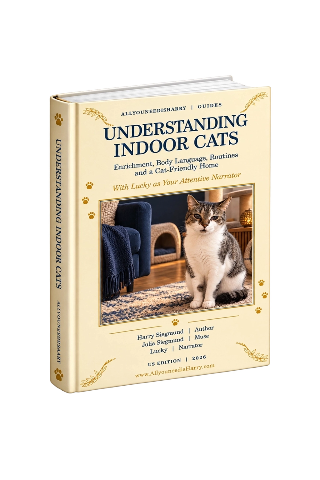 Understanding Indoor Cats