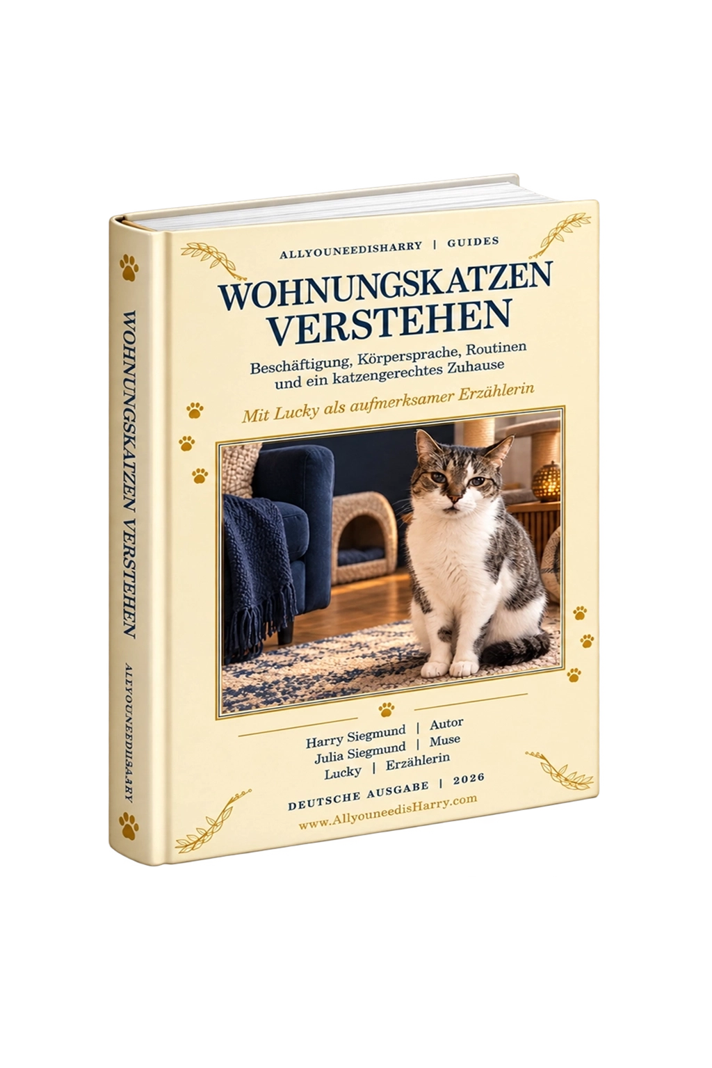 Wohnungskatzen verstehen