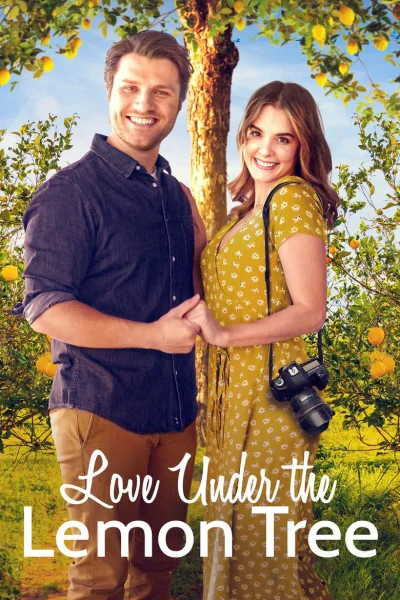 Movie poster from Love Under the Lemon Tree