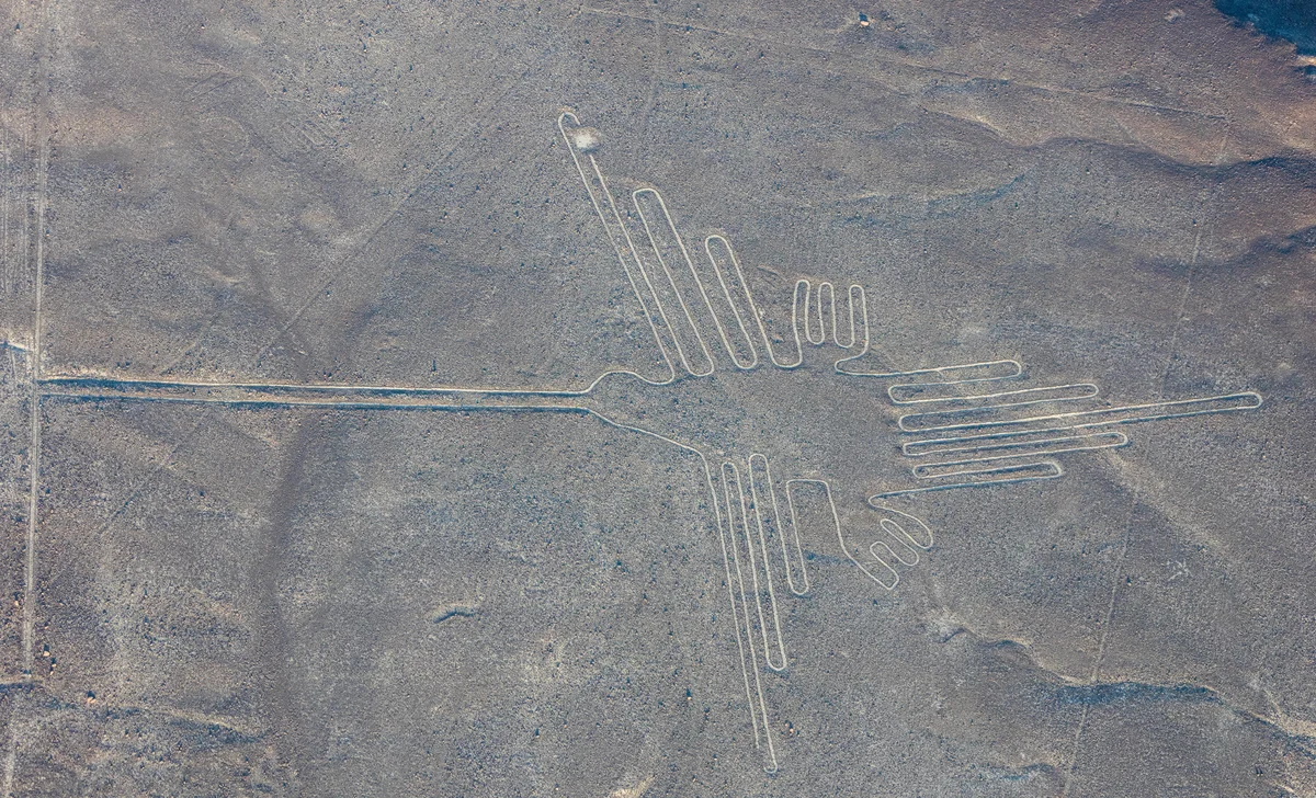 The Nazca monkey geoglyph