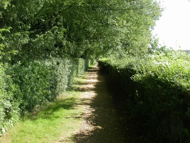 Darwin Sandwalk thinking path at Down House