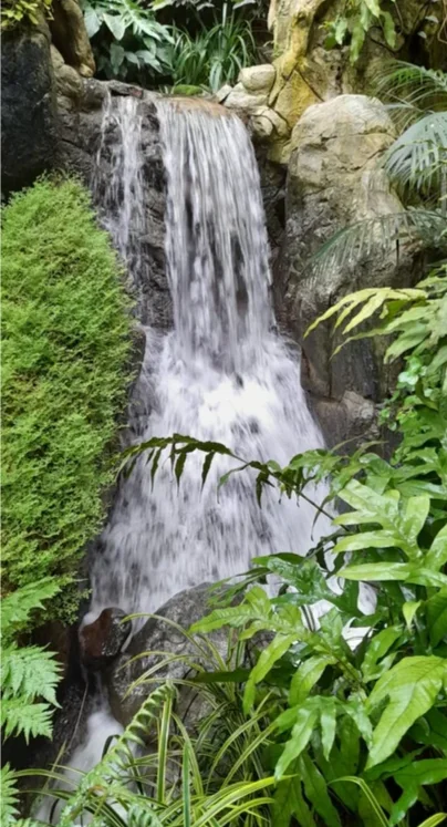A calm waterfall in a forest, soft and steady flow
