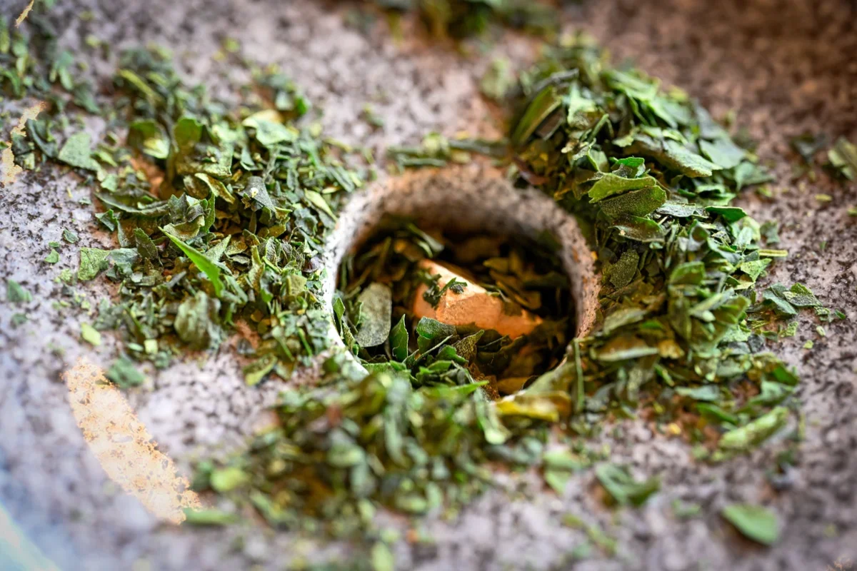Tencha leaves being ground on a traditional stone mill in Uji Japan